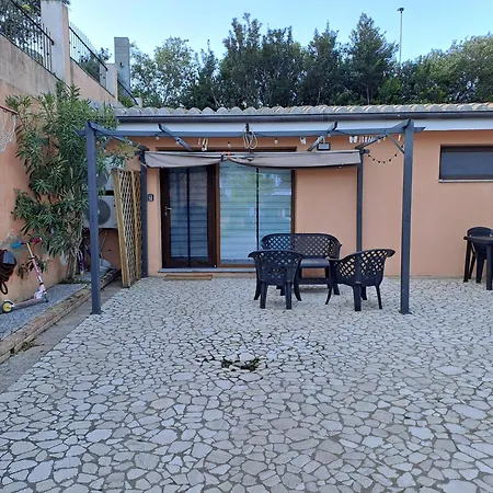 Frailis * أرباتاكْسْ